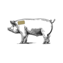 Grafik von einem Schwein, wo der Boston Butt eingezeichnet ist.